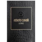 Roberto Cavalli
Uomo
Eau de Toilette (Homme) 100 ml